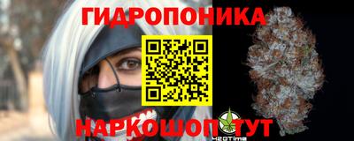 шишки Гай