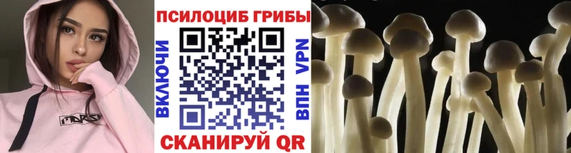 Галлюциногенные грибы GOLDEN TEACHER  Полевской 