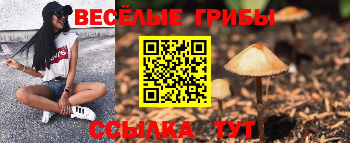 Полевской  Галлюциногенные грибы ЛСД  Вход с VPN 
